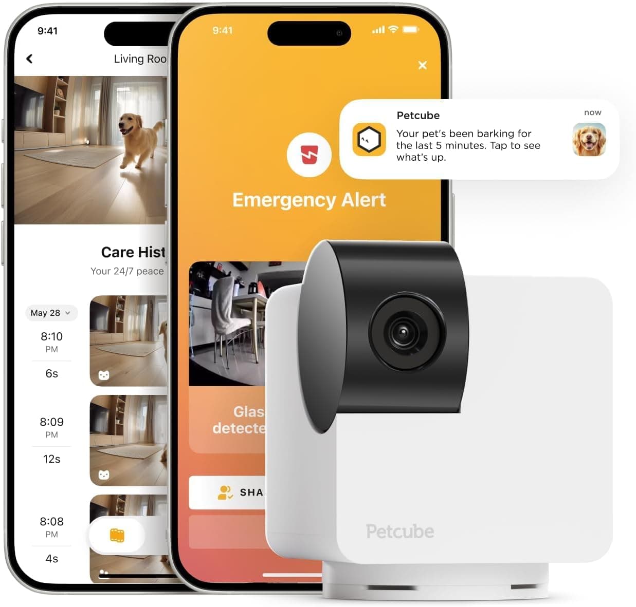 Petcube Cam 360