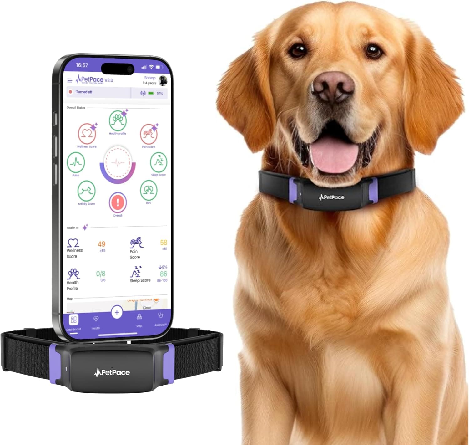 PetPace Smart Collar 3.0 (Large)